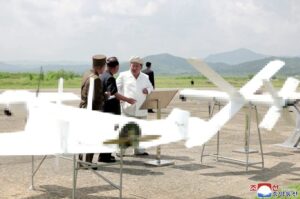 Drone Bunuh Diri